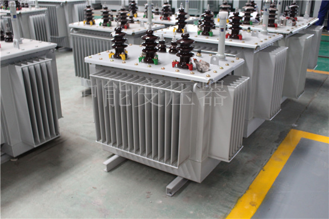 随州S22-100KVA/10KV/0.4KV变压器